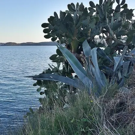 Calypso Lägenhet Trogir
