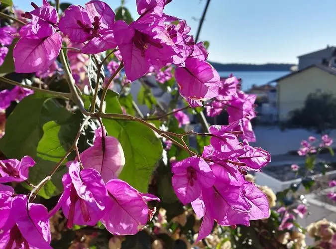 Apartman Calypso *