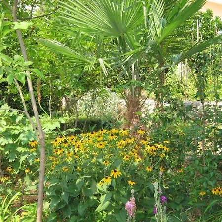 Apartmán Calypso