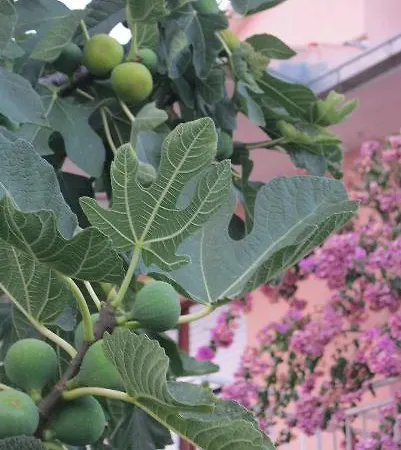 Апартаменты Calypso