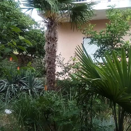 Apartmán Calypso Trogir