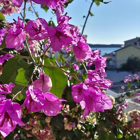 Apartamento Calypso *