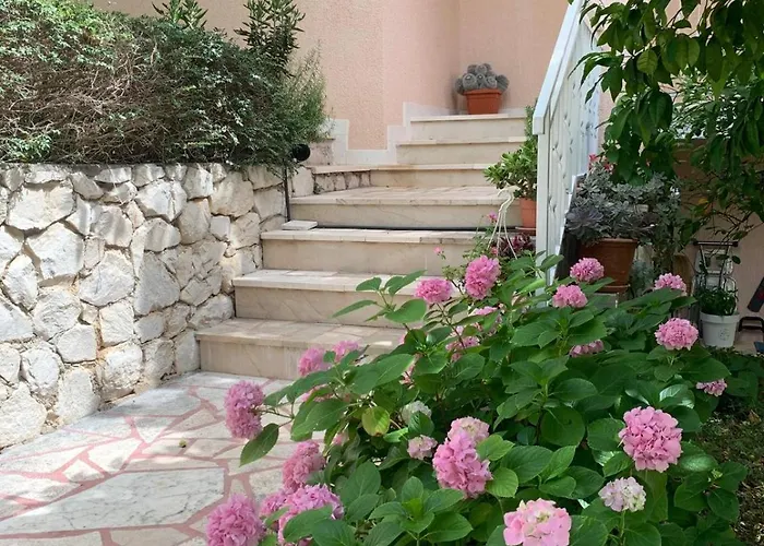 Calypso * 特罗吉尔